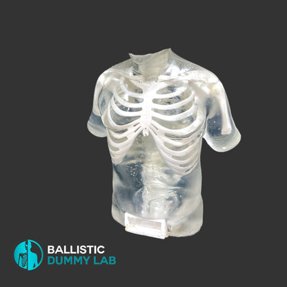 Perma-Gel Ballistic Dummy Deluxe Torso without Head – side view