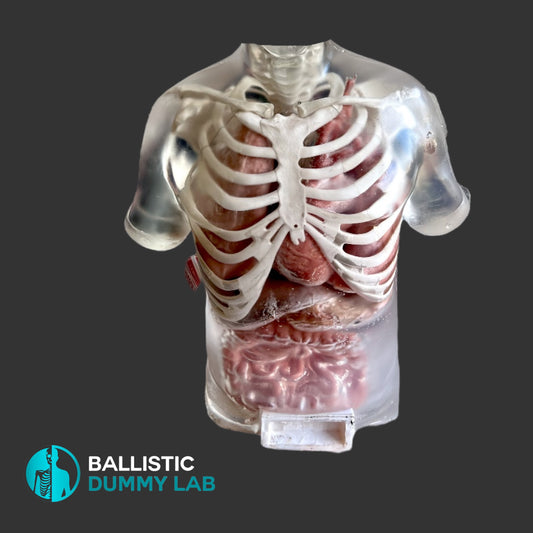 Perma-Gel Ballistic Dummy Deluxe Torso without Head – front view