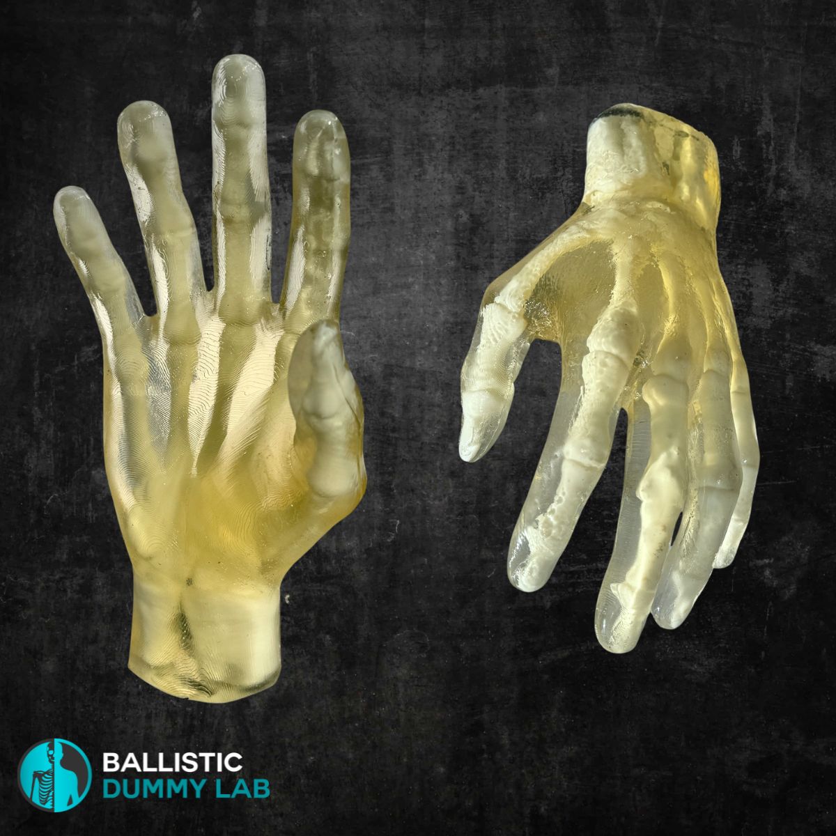 Ballistic Dummy Gel Hands – front view