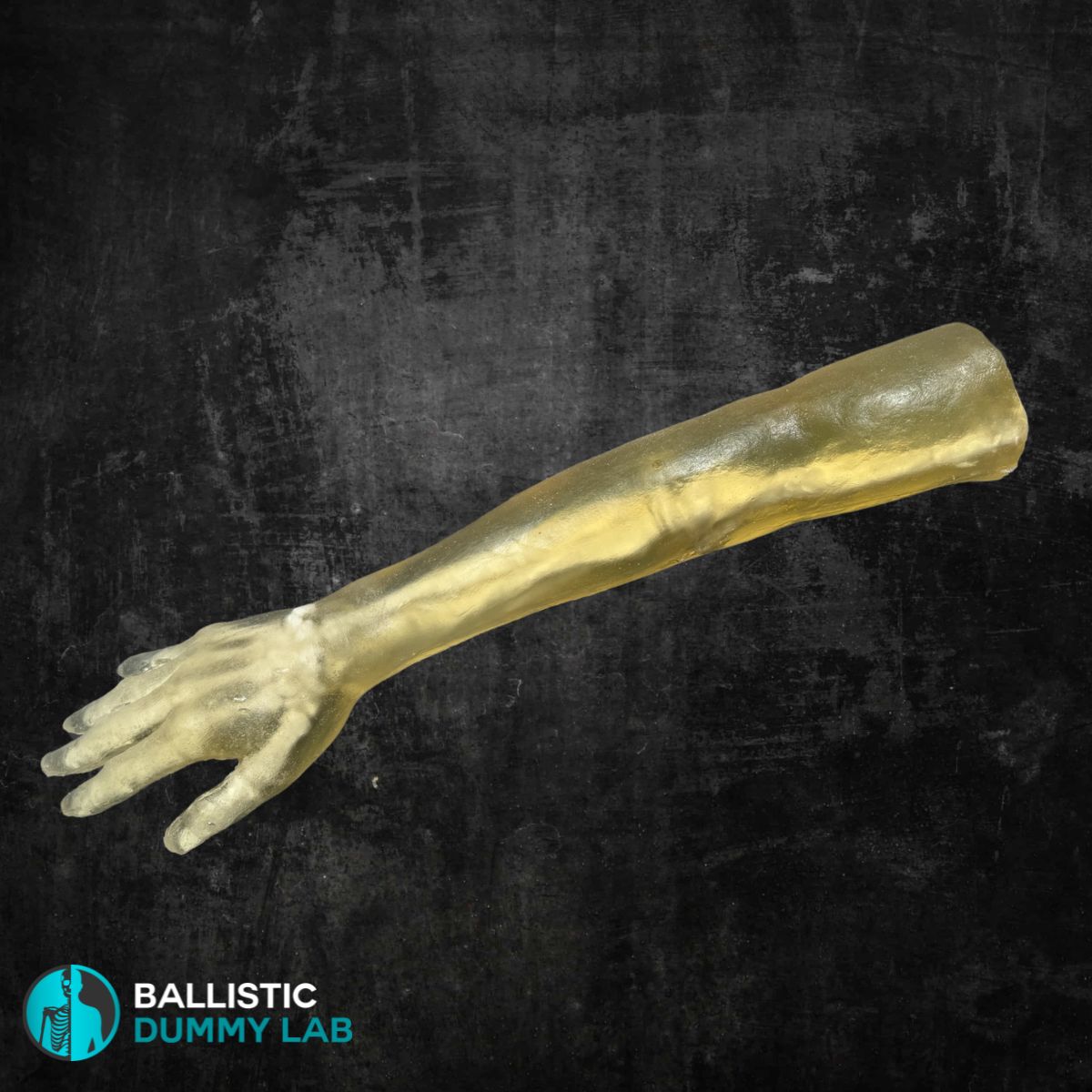 Ballistic Dummy Gel Arm – front view
