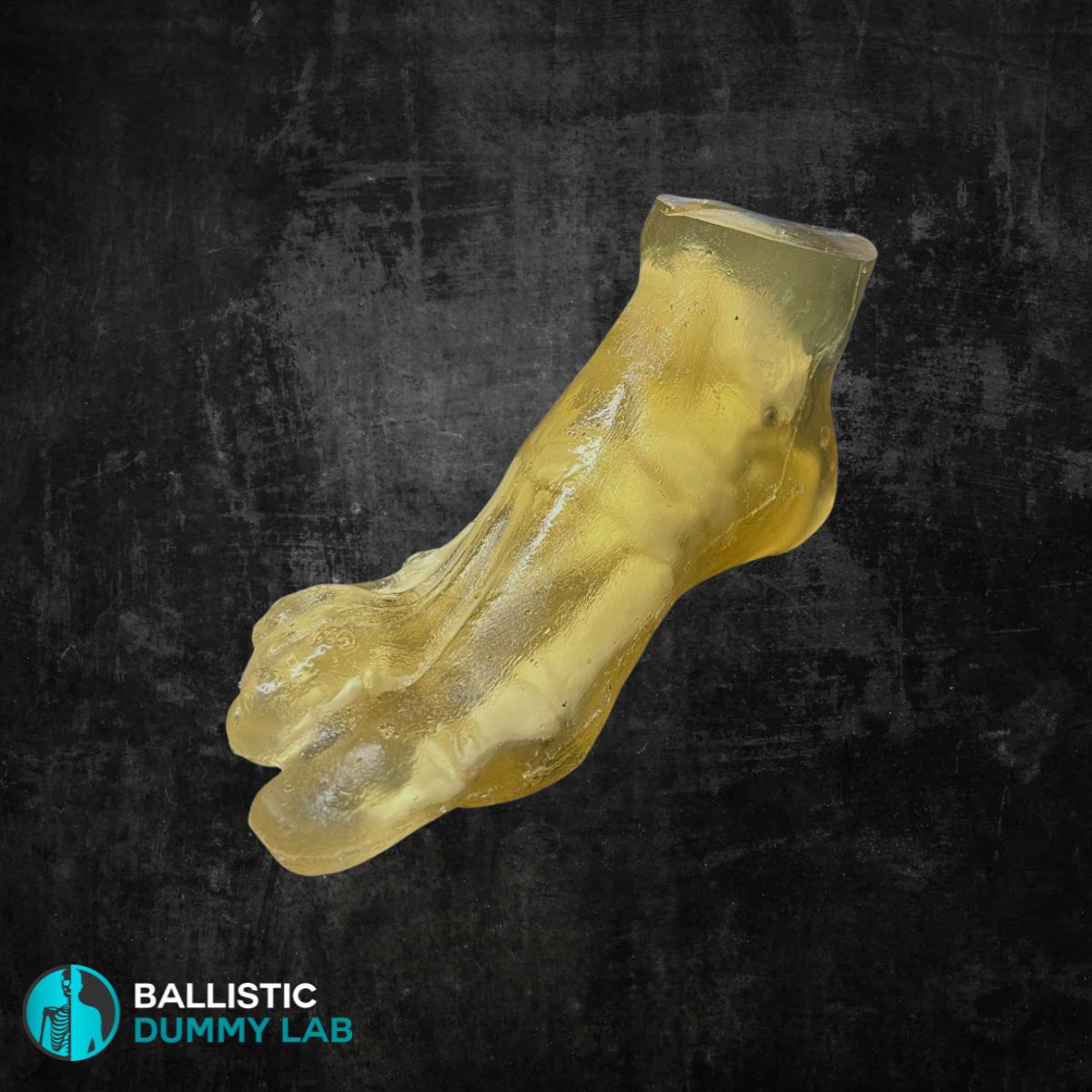 Ballistic Dummy Gel Foot – front view