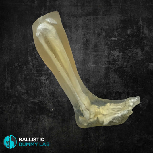 Ballistic Gel half Leg – front view