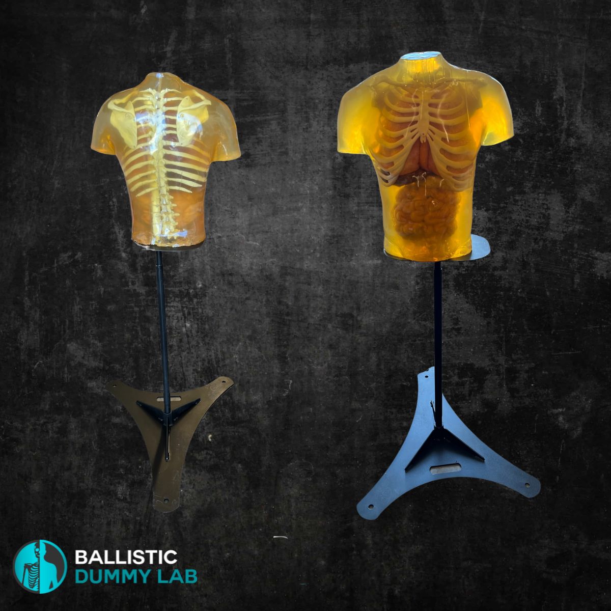 Steel Torso Stand – side view