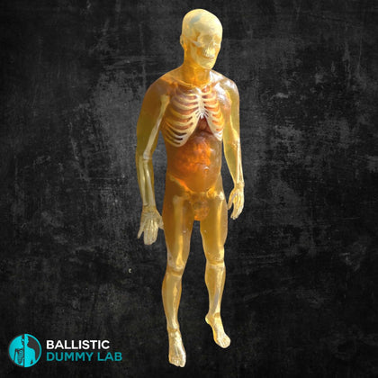 Ballistic Dummy Gel Male Body