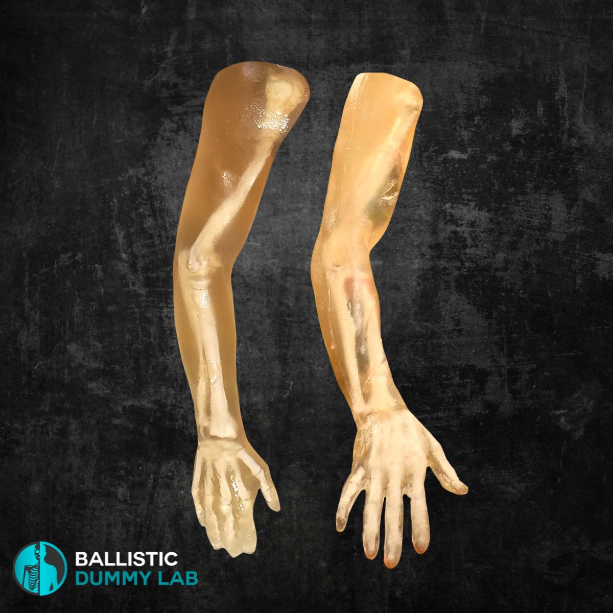 Ballistic Dummy Gel Arm Ballistic Dummy Lab Ballistic Dummy Gel Arm Ballistic Dummy Lab