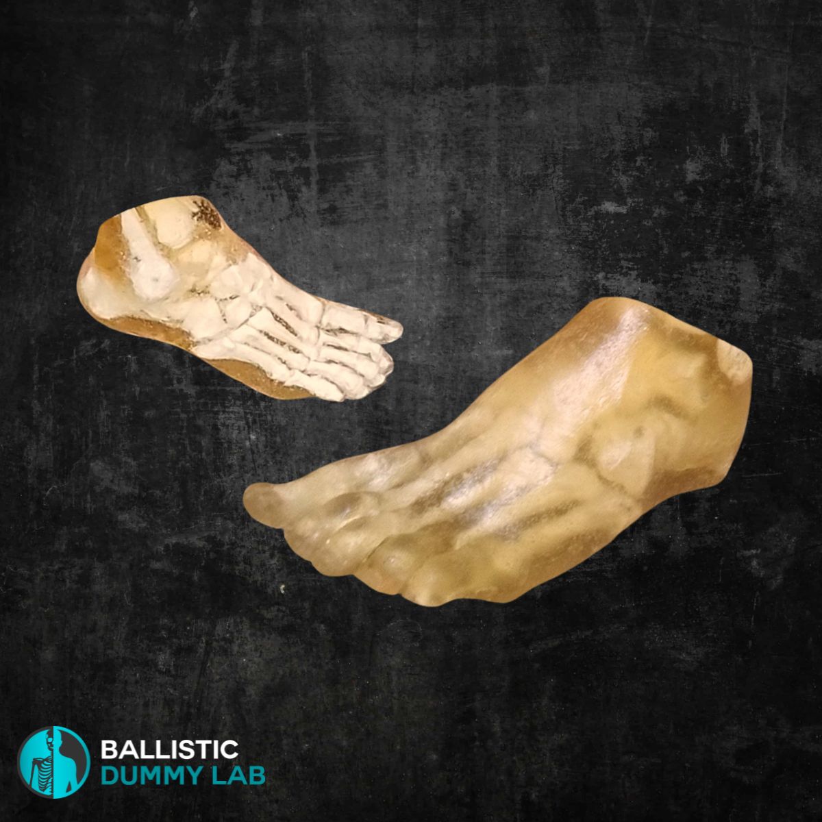 Ballistic Dummy Gel Foot – alternate view