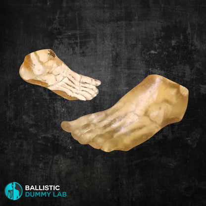 Ballistic Dummy Gel Foot – alternate view