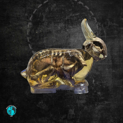 Ballistic Gel Rabbit – back view