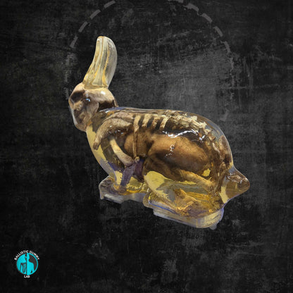 Ballistic Gel Rabbit – top view