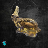 Ballistic Gel Rabbit