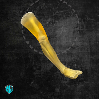 Ballistic Dummy Gel Leg – side view