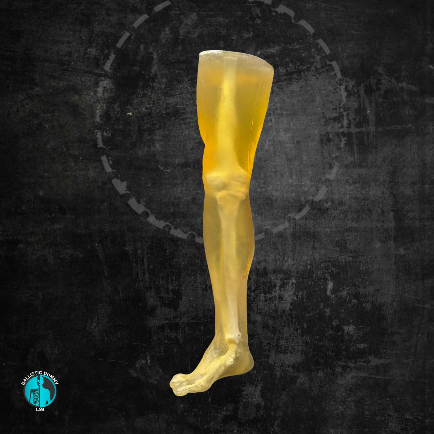 Ballistic Dummy Gel Leg – front view