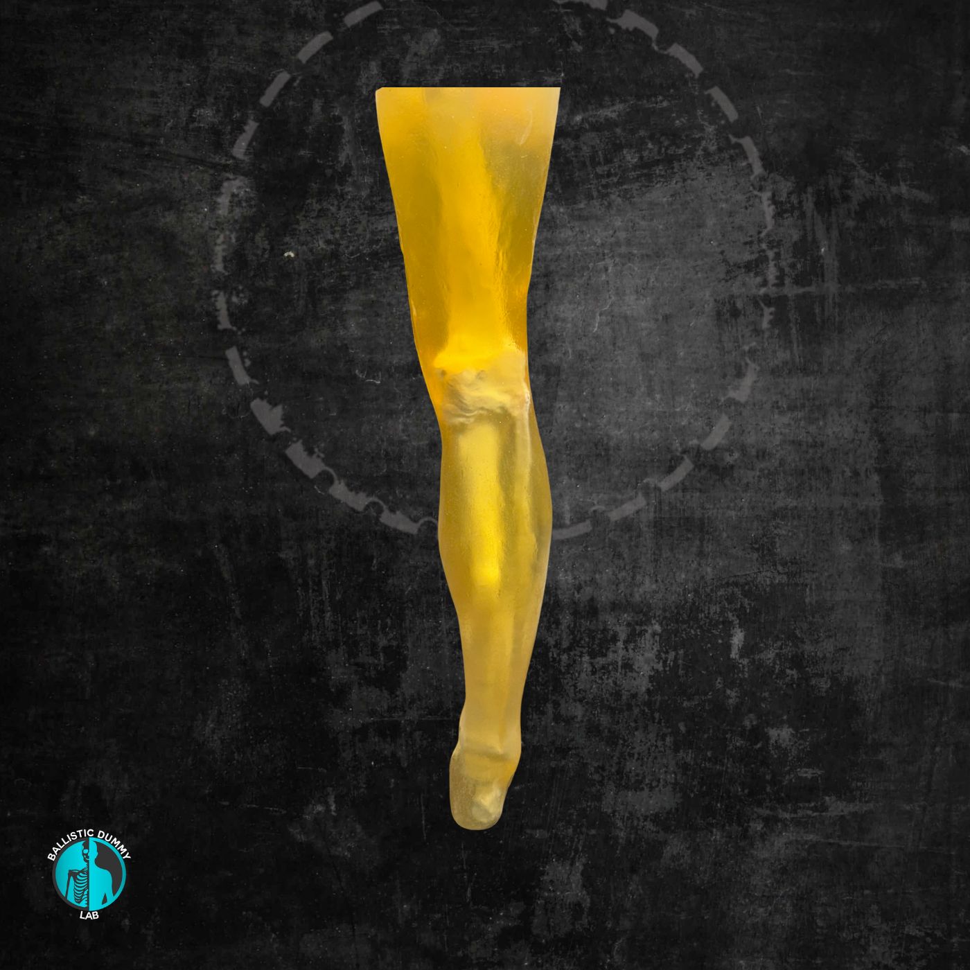 Ballistic Dummy Gel Leg – detail view
