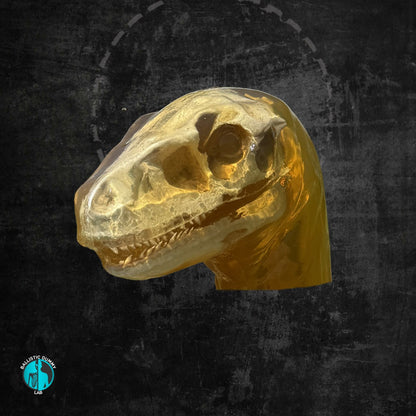 Raptor Head – front view