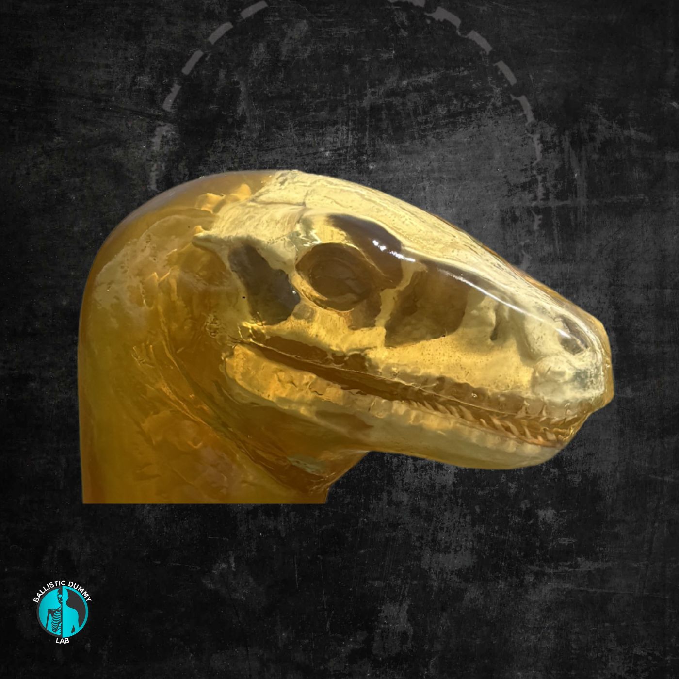 Raptor Head – detail view
