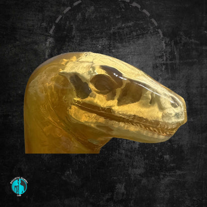 Raptor Head – detail view