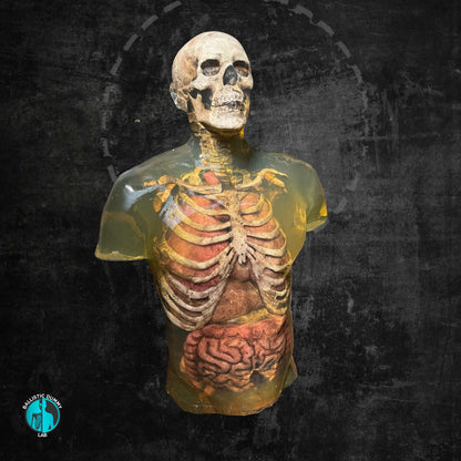 Ballistic Dummy Gel Zombie Torso