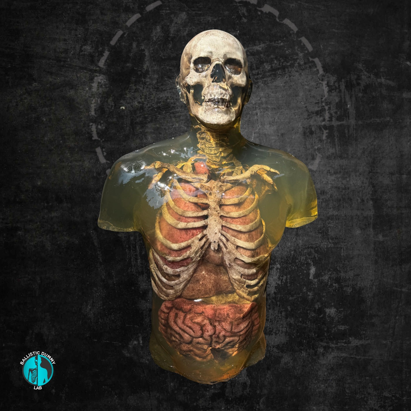 Ballistic Dummy Gel Zombie Torso