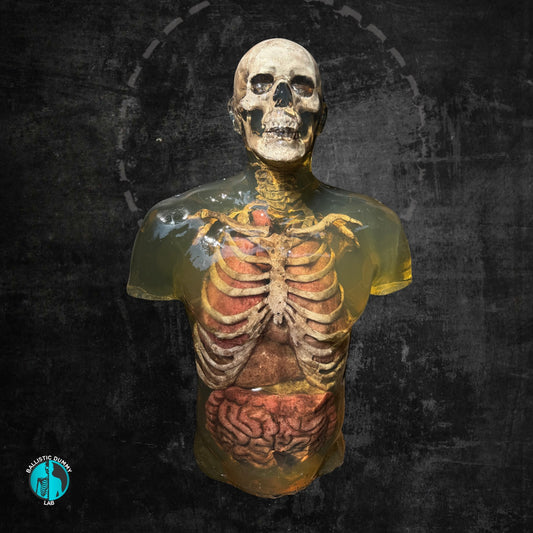 Ballistic Dummy Gel Zombie Torso