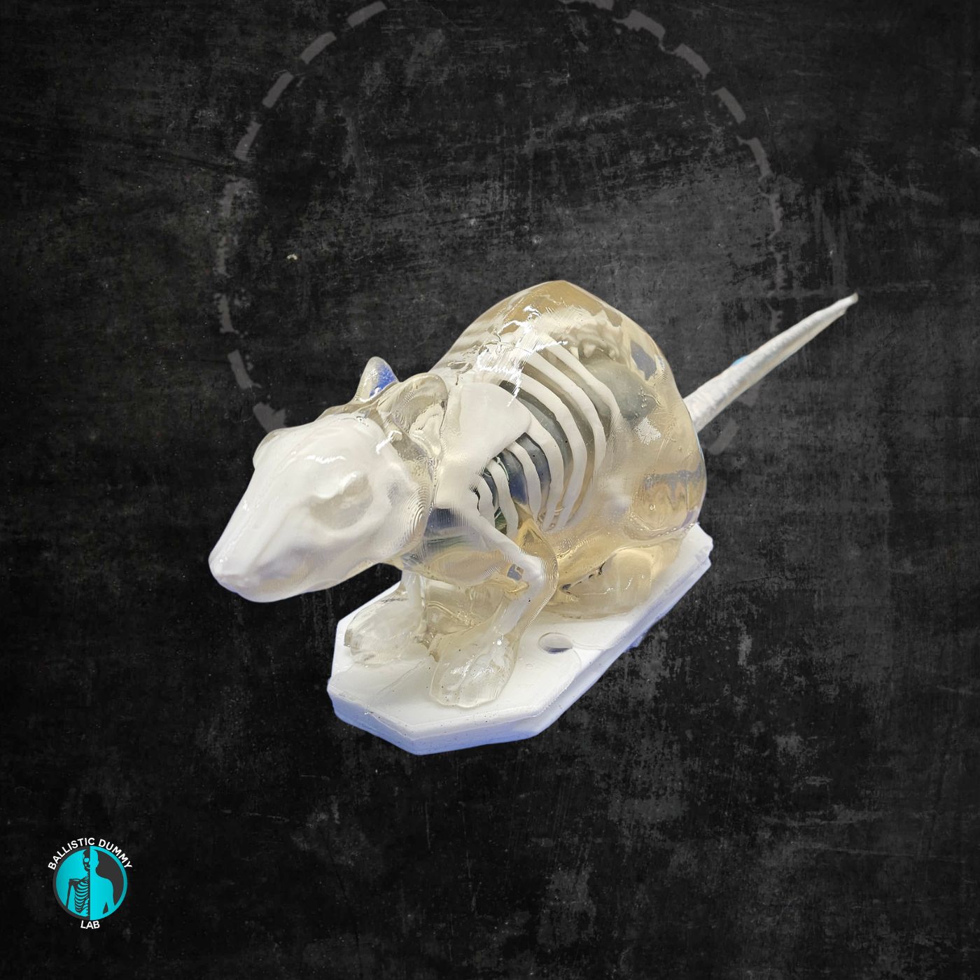 Ballistic Gel Rat – ballistic gel product