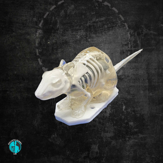 Ballistic Gel Rat – ballistic gel product