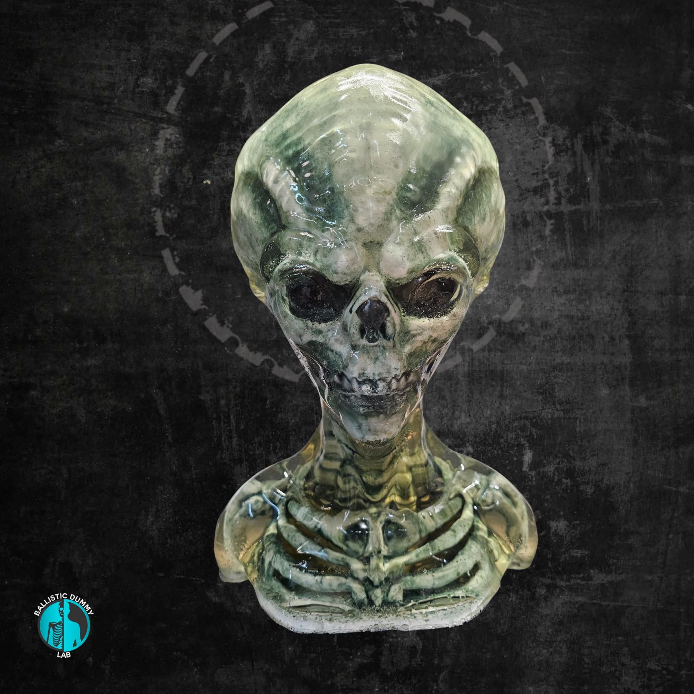 Grey Alien Bust – front view