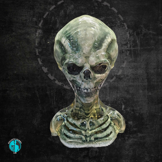 Grey Alien Bust – front view