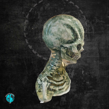 Grey Alien Bust – side view