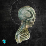 Grey Alien Bust