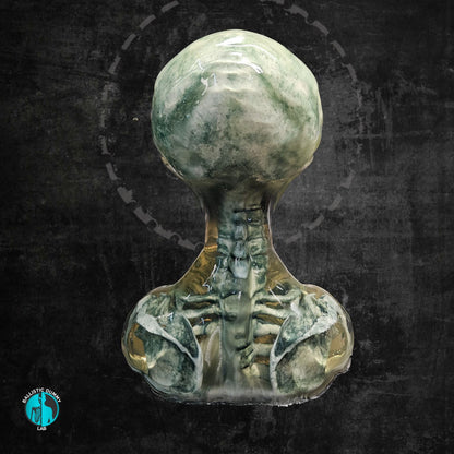 Grey Alien Bust – detail view