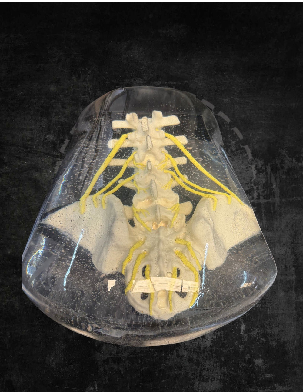 Medical Simulation