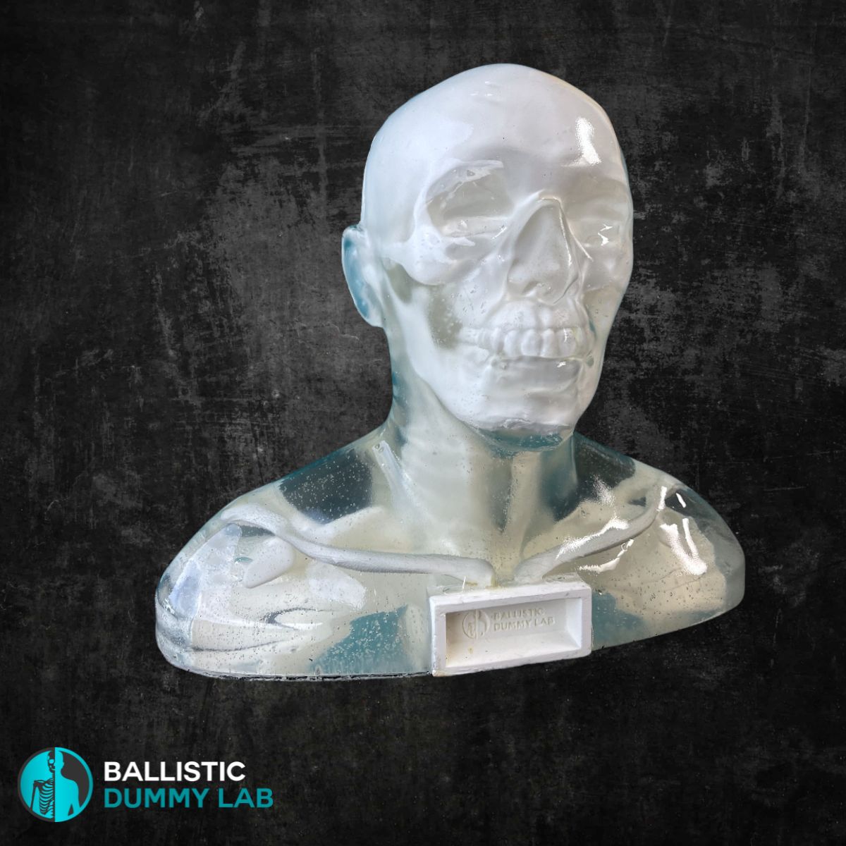 Perma-Gel Ballistic Dummy Loaded Deluxe Bust – detail view