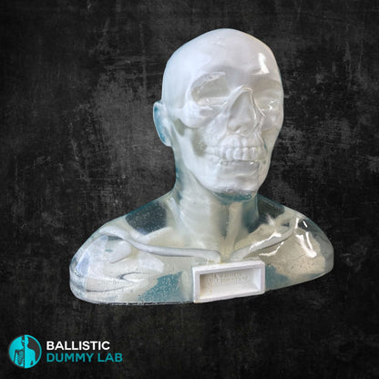 Perma-Gel Ballistic Dummy Loaded Deluxe Bust – detail view