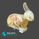 Ballistic Gel Rabbit
