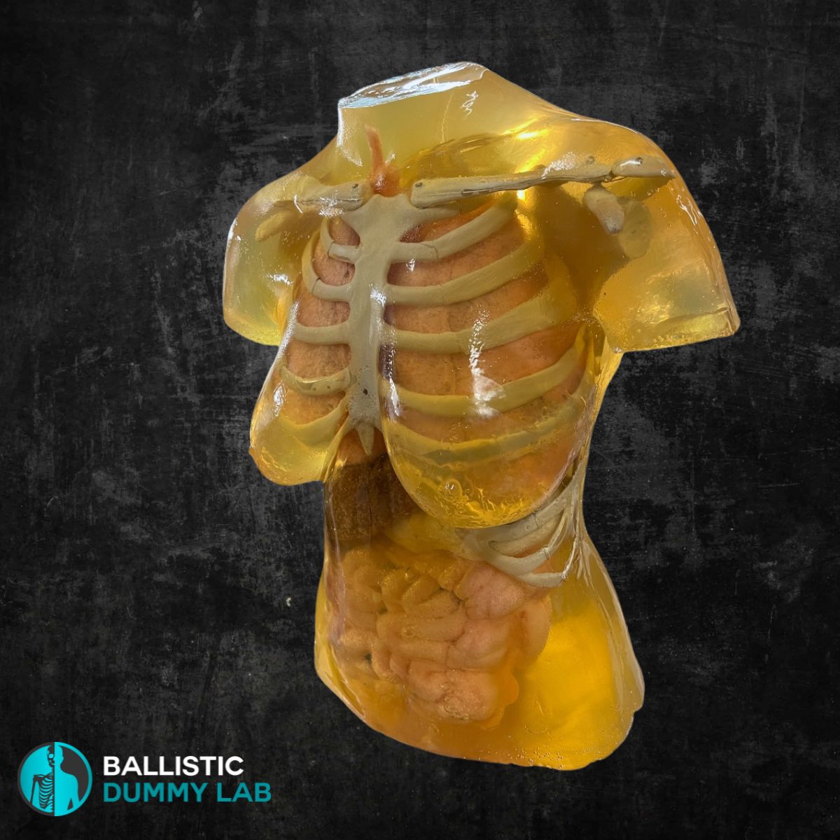 Ballistic Dummy Lab Gel Female Torso Headless – front view