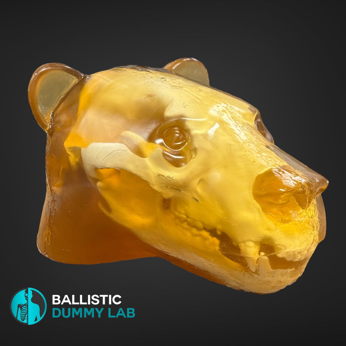 Ballistic Gel Loaded Grizzly Bear Head – Ballistic Dummy Lab