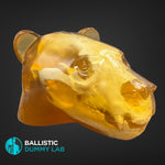 Ballistic Gel Loaded Grizzly Bear Head