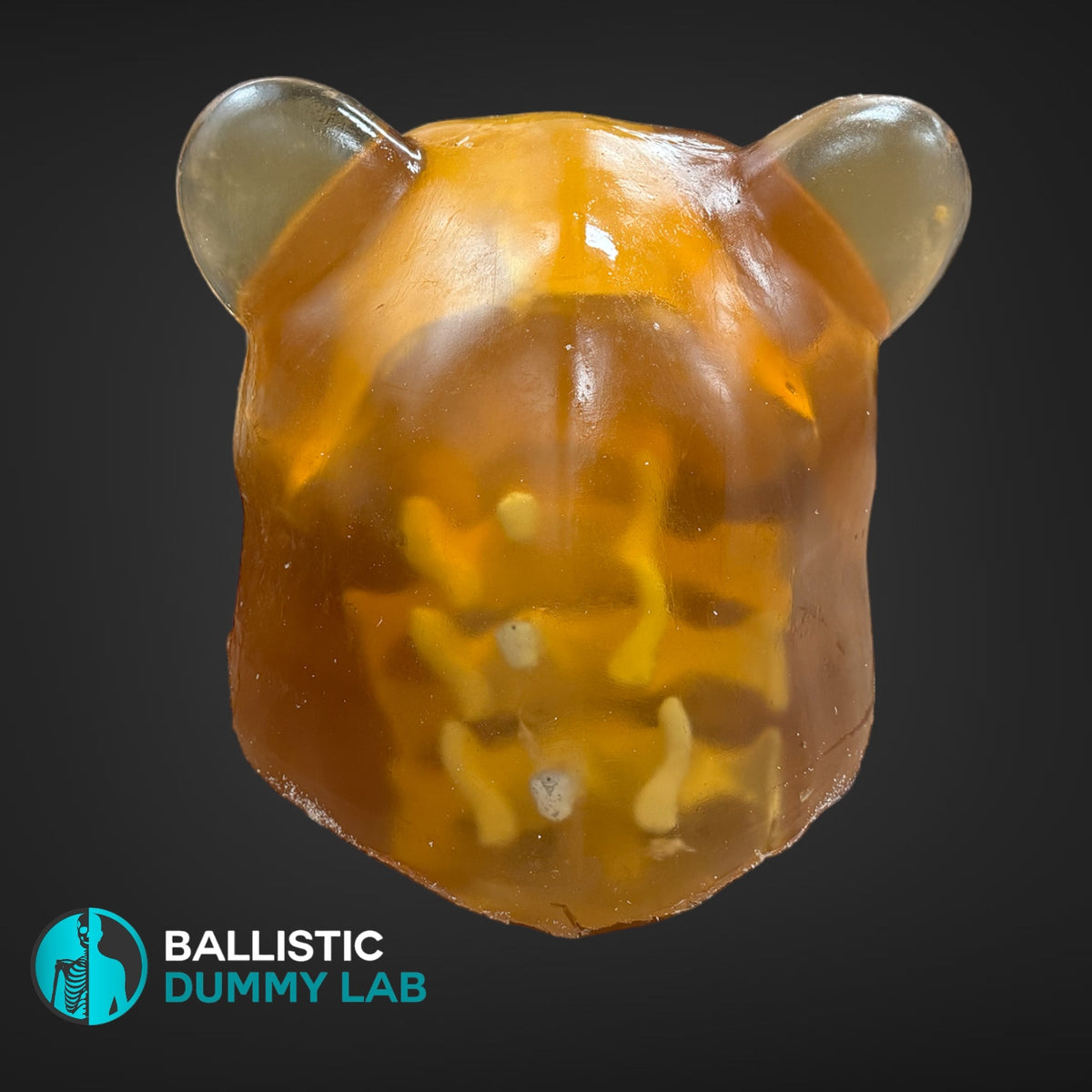 Ballistic Gel Loaded Grizzly Bear Head – Ballistic Dummy Lab