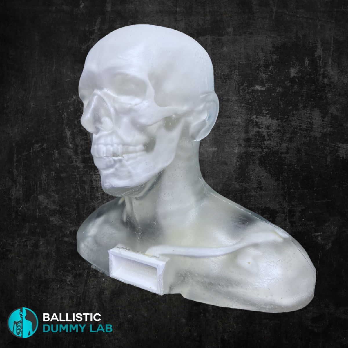 Perma-Gel Ballistic Dummy Loaded Deluxe Bust – alternate view