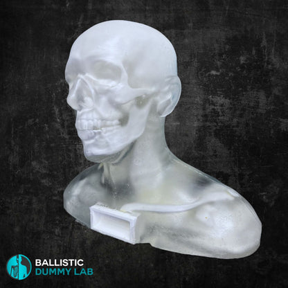 Perma-Gel Ballistic Dummy Loaded Deluxe Bust – alternate view