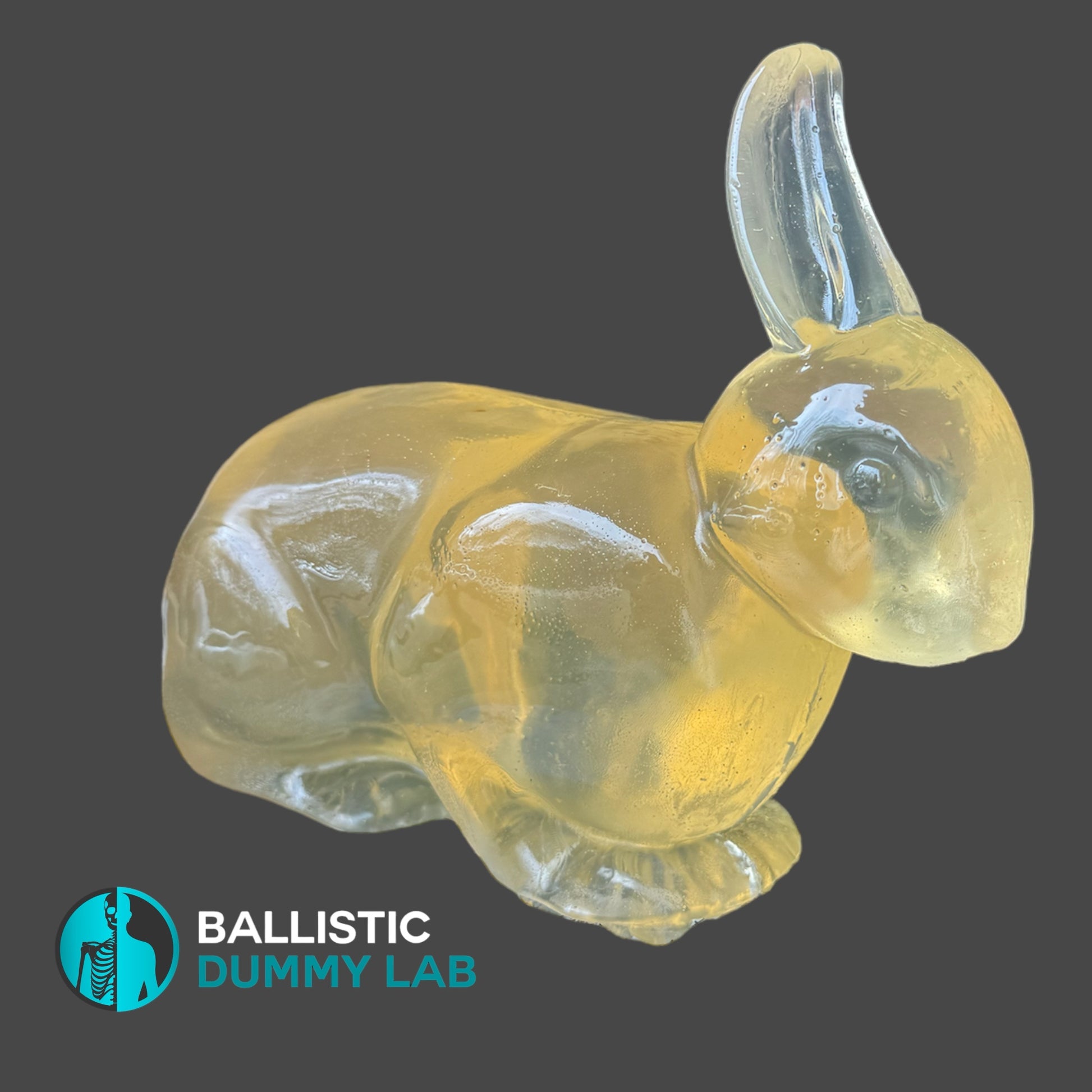 Ballistic Gel Rabbit – alternate view