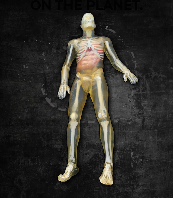 Ballistic Dummy Lab Ballistic Dummy Lab