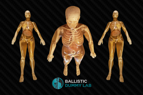 Perma-Gel Ballistic Dummy Unloaded Head – Ballistic Dummy Lab