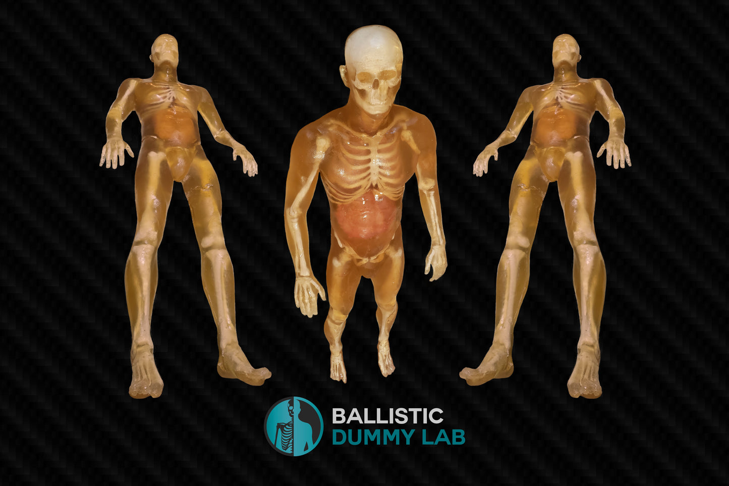 Ballistic Dummy Gel Male Body – back view