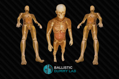 Ballistic Dummy Gel Male Body – back view