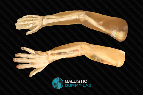 Basic Ballistic Dummy Gel Bust – Ballistic Dummy Lab