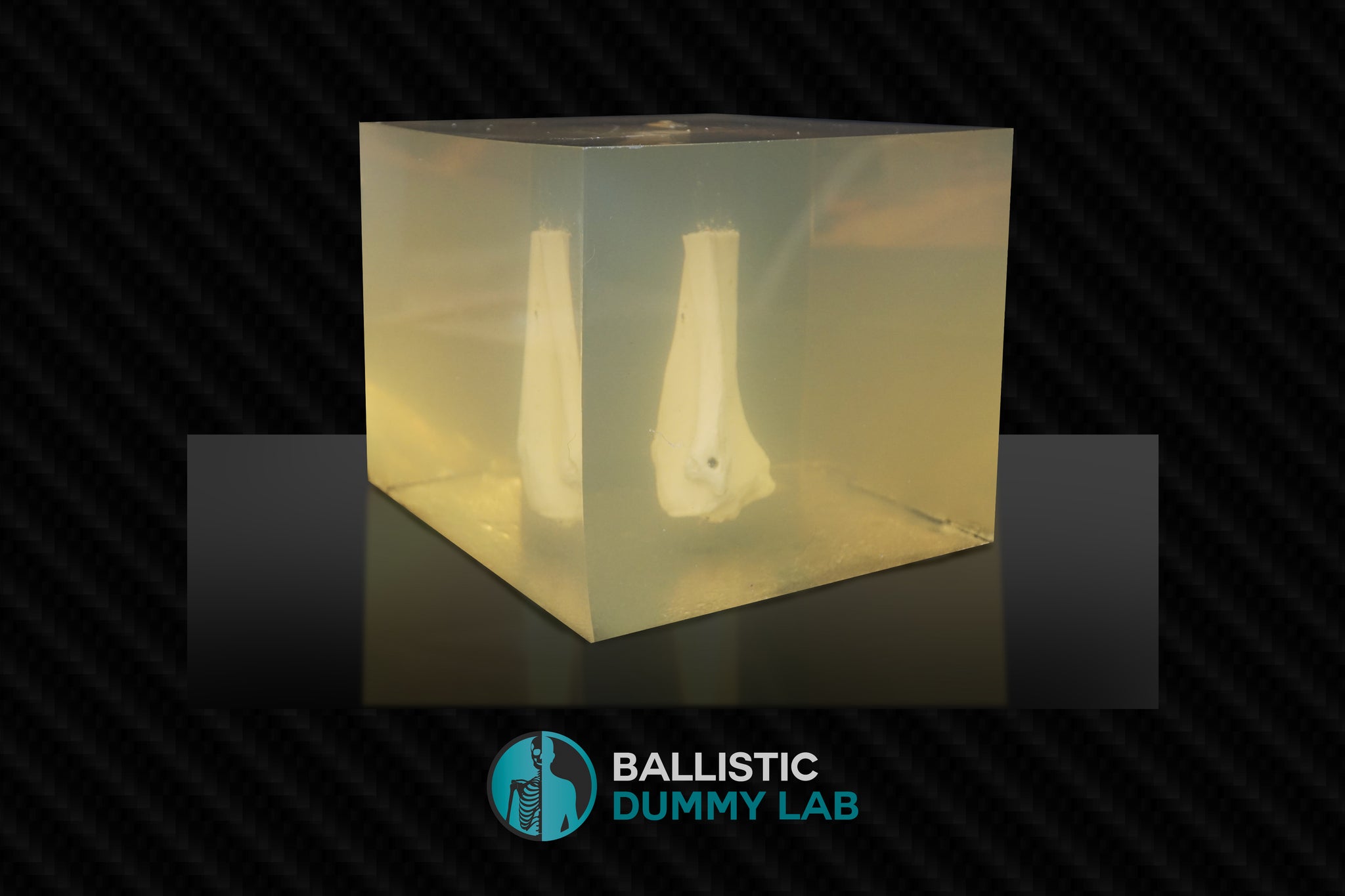 Ballistic Gel Bone Block Ballistic Dummy Lab