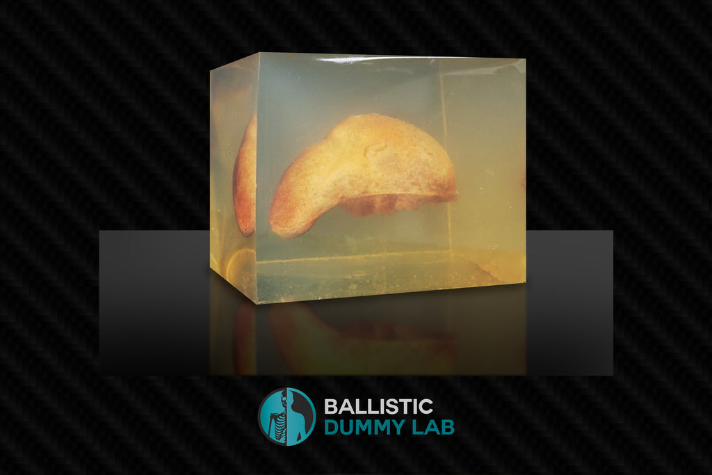Ballistic Gel Organ Block – Ballistic Dummy Lab
