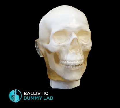 Ballistic Dummy Gel Head – front view