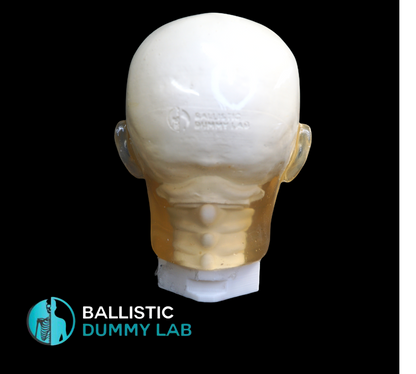 Ballistic Dummy Gel Head – alternate view